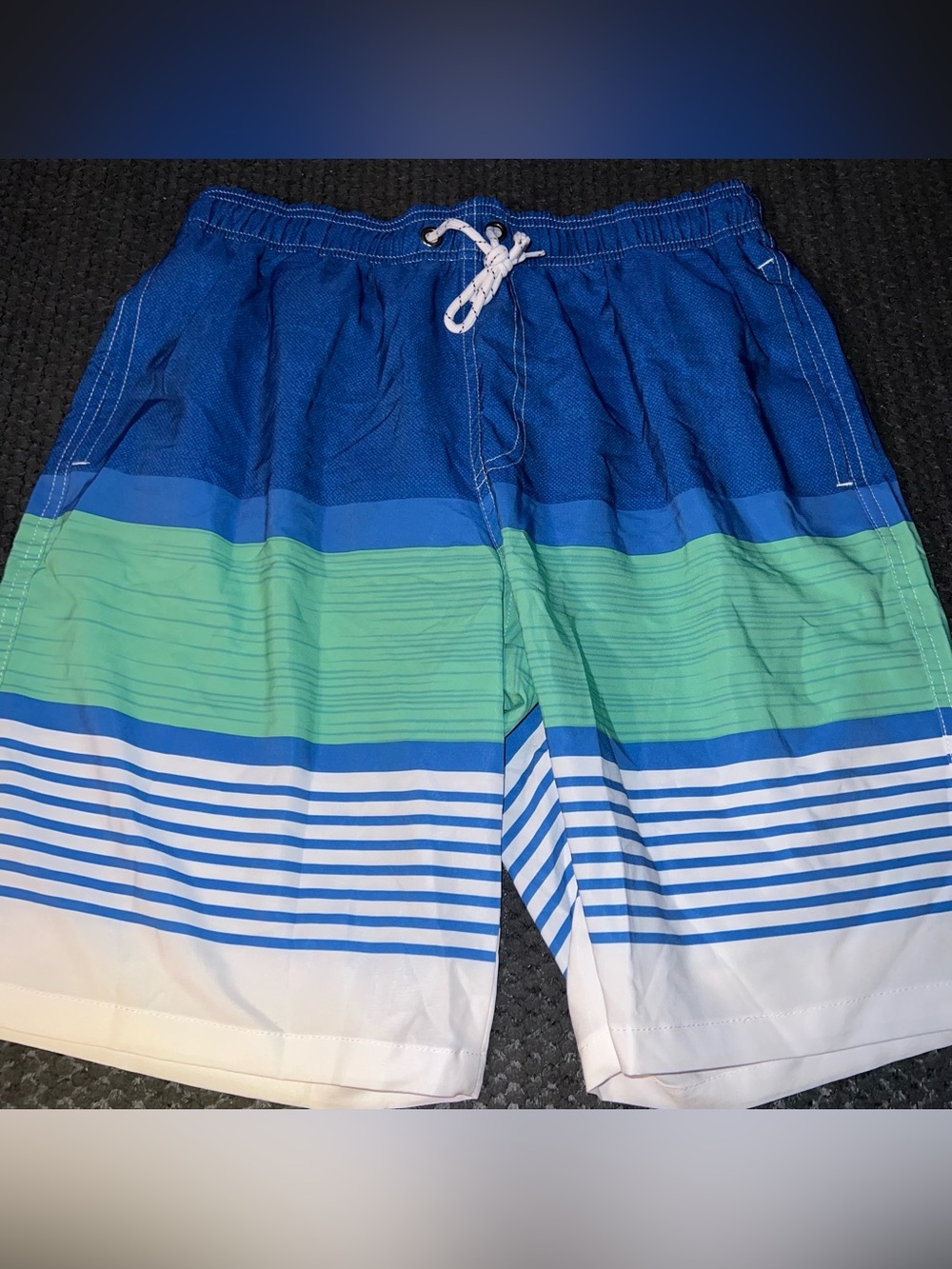 Men's Blue & Green Striped Swim Shorts